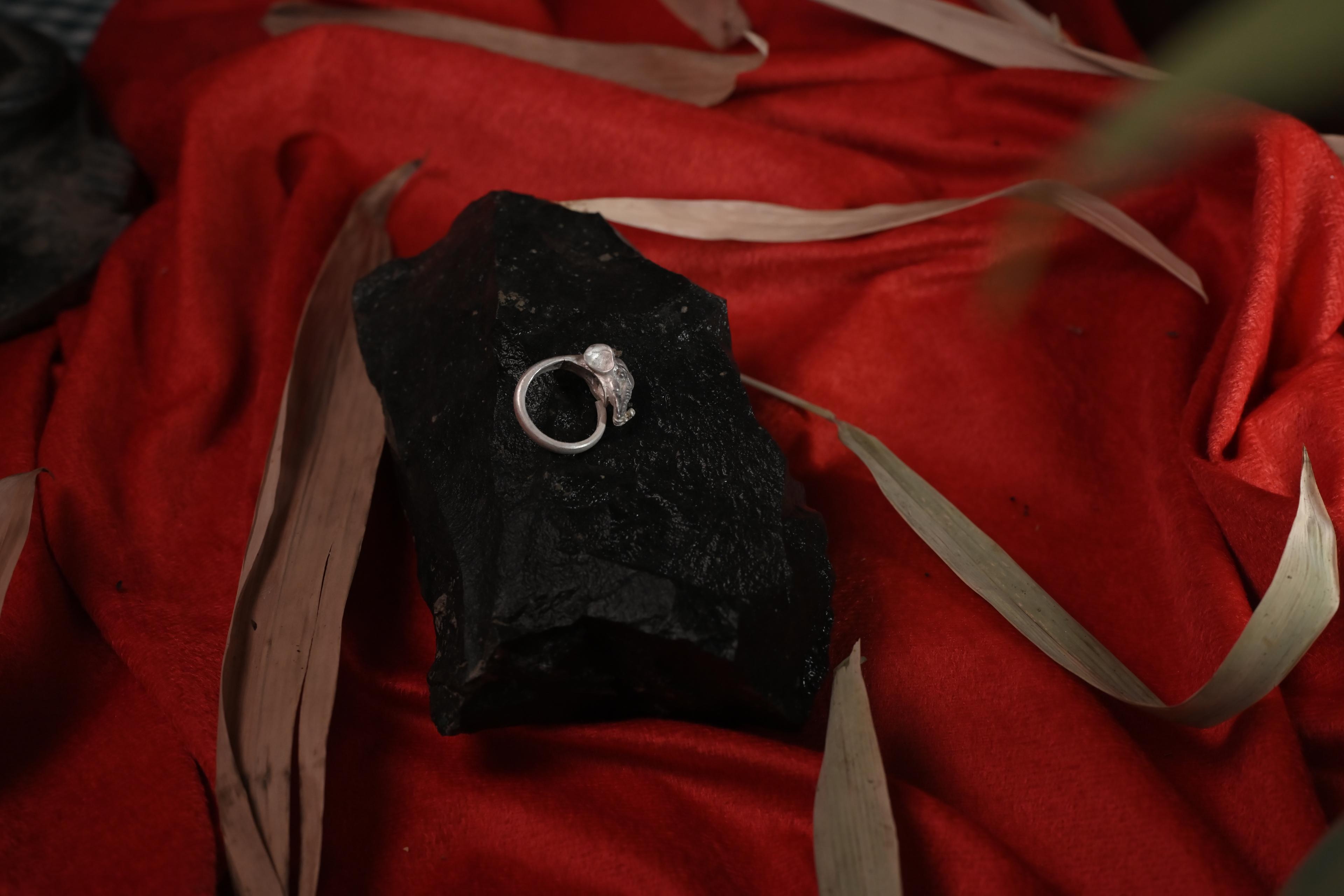 Jewellery Collection
